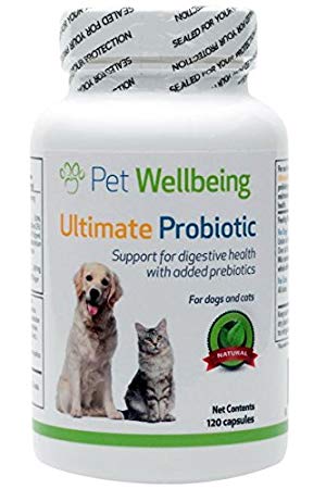 Pet Wellbeing - Ultimate Probiotic with Prebiotics for Cats and Dogs - 120 Caps