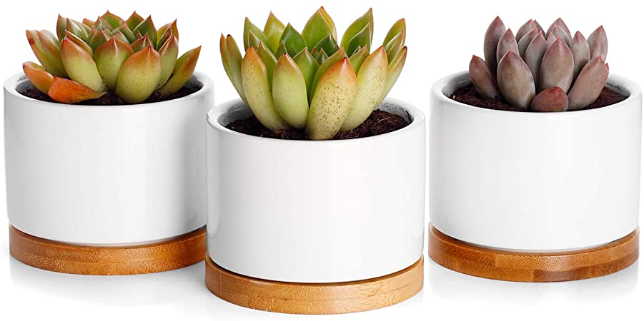 Greenaholics Succulent Plant Pots - 3 Inch White Small Flower Pots for Mini Succulent, with Bamboo Trays, Set of 3