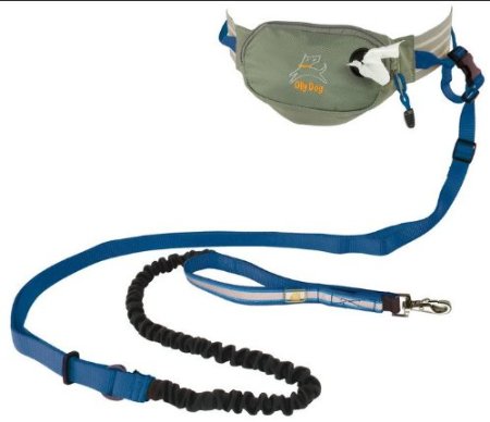 OllyDog Mt Tam Hands-free Dog Leash and Belt system, Blue/Grey