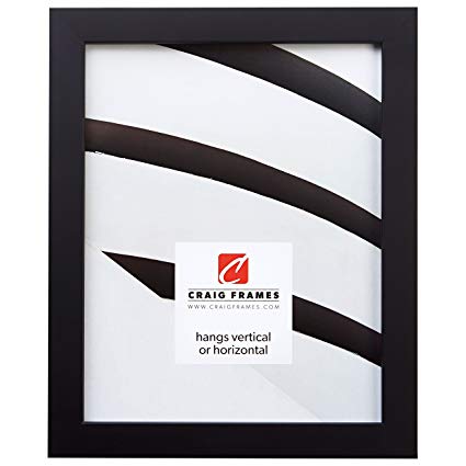 Craig Frames 140652 20 by 24-Inch Picture Frame, Solid Wood, Smooth Finish, 0.875-Inch Wide, Black