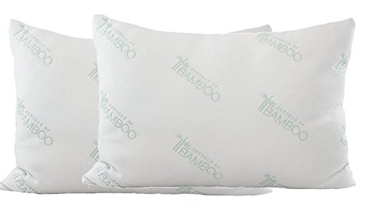 Gel Fiber Pillow - Down Alternative, Hypoallergenic .4 Micro Denier Poly Gel Fiber Filled Pillows with Rayon Derived From Bamboo Cover (Queen 2-Pack, Soft) Crafted in the USA