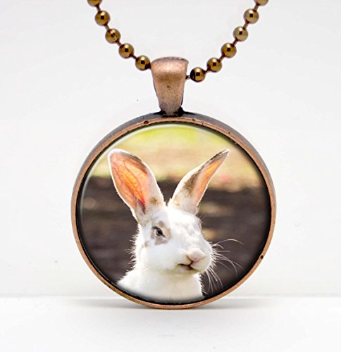 Rabbit Face Photo Funny Expression Derp Art Glass Pendant or Key Chain- 30 mm round- Chain Included- Made to Order