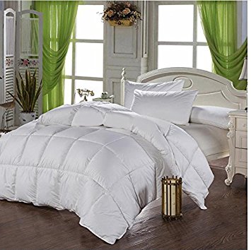 HARD-TO-FIND Queen White Comforter Duvet Insert, Exclusive Siliconized Fiberfill, 1000 Thread Count 100% EGYPTIAN COTTON Down Alternative Comforter