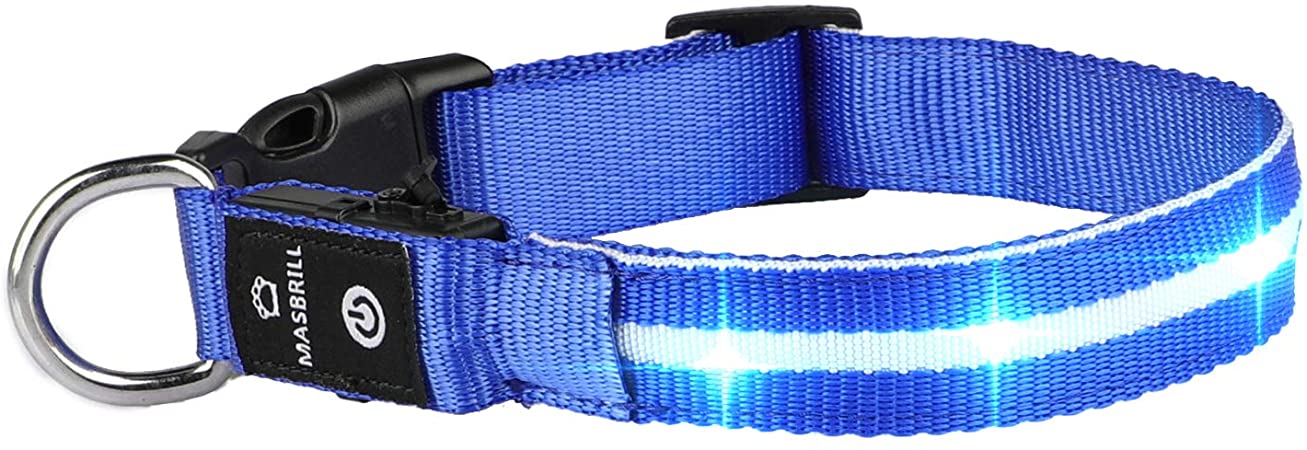 MASBRILL Light Up Dog Collar, LED Dog Collar with USB Rechargeable & 100% Waterproof, Super Bright Flashing Dog Collar with 10 Hours Working Time(Blue, M)