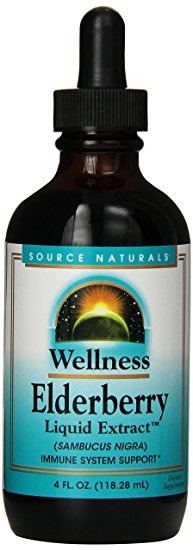 Source Naturals Wellness Elderberry Liquid Extract, Immune System Support, 4 Fluid Ounces