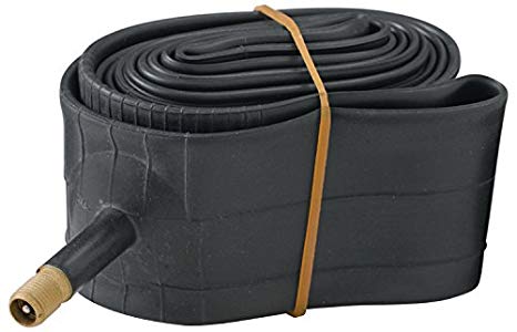 Diamondback 20x1.75/2.125 Thorn Resistant Schrader Valve Bicycle Tube, Black