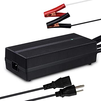 Renogy 12V 20A AC-to-DC Portable Battery Charger with 12AWG Alligator Clips for Lithium-iron Phosphate Batteries