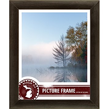 Craig Frames 23247778 24 by 36-Inch Picture Frame, Smooth Wrap Finish, 1-Inch Wide, Brazilian Walnut Brown