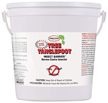 Tanglefoot Tree Insect Barrier Pail