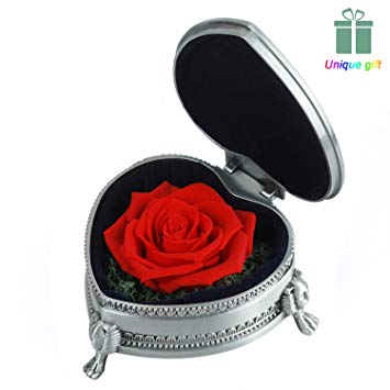 Preserved Roses - Preserved Flower, Handmade Red Rose Present, Exquisite Upscale Immortal Flowers Best Gift for Female Birthday, Anniversary, Valentine's Day, Christmas, Width 3.85”, Height 1.75”