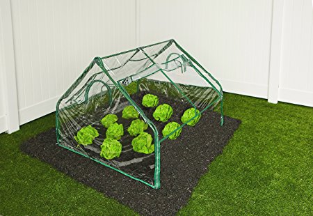 Frame It All Greenhouse, 4-Feet by 4-Feet by 36-Inch