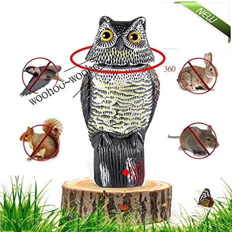 ChenLee 2020 Newly Owl Decoy with 360 Rotating Head Realistic Owl Scarecrow Statue to Scare Birds Fake Owl Outdoor for Patio Yard Garden Protector