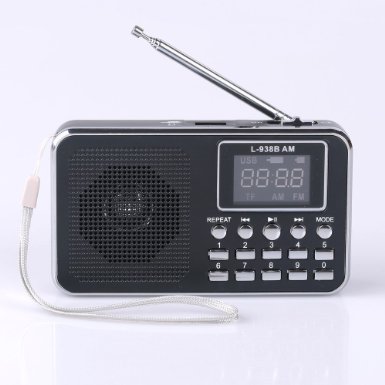 Mfine Portable Speaker AM/FM Radio Music Player Micro SD/TF Card For PC iPod Phone (938B Black)