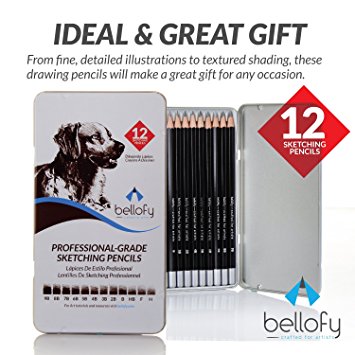 12 Sketching Pencils Artist with Tin Box - Drawing Set - Artist Sketching Set, Drawing Kit, Sketch Pencils - 9B, 8B, 7B, 6B, 5B, 4B, 3B, 2B, B, HB, F, H Drawing Pencils