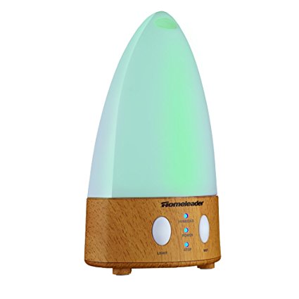 Homeleader Ultrasonic Air Humidifier, 100ML Cool Mist Humidifier