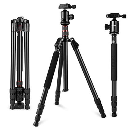 79 Inch Universal Camera Tripod ESDDI 360 DegreePanorama Ball Head Tripod for Canon Nikon Sony Samsung Olympus Panasnoic Pentax Camera [Compact Lightweight Aluminum]