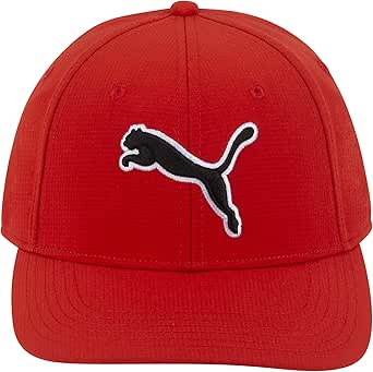 PUMA Evercat Dillon Stretch Fit Cap