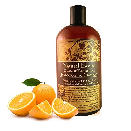 Organic Tangerine & Orange Shampoo | Natural Shampoo for Oily Hair, Grey Hair, Hair Loss & More | Paraben & Sulfate Free Shampoo Leaves Hair Soft & Healthy | 16oz