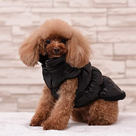 Rantow Autumn Winter Pet Dog Cat Clothes Warm Down Coat, 7 Colors Classic Pet Outwear Down Jacket for Teddy, Yorkshire Terrier, Chihuahua, Pomeranian (XS, Black)