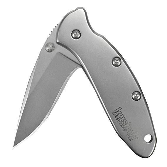 Kershaw Chive Pocket Knife (1600); 1.9” 420HC Steel Blade with 410 Stainless Steel Handle, SpeedSafe Assisted Opening with Flipper, Frame Lock, Tip-Lock Slider and Single-Position Pocketclip; 1.7 OZ.