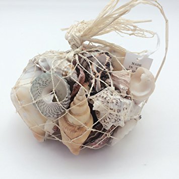 PEPPERLONELY Sea Shells Mixed Beach Seashells, Various Size, 1-1/2Inch To 2-3/4 Inch, 500 Gram, Apprx. 65PC Sea Shells