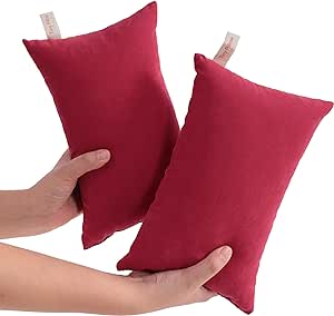 NTBAY Tiny Pillows, Down Alternative 7"x11" Microfiber Mini Pillows for Travel, Pets, Soft Machine Washable Small Pillows for Neck, Wrist, Lumbar and Knee, Red