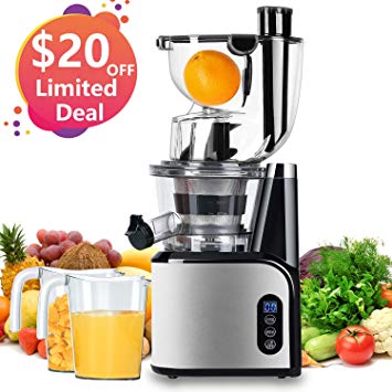 Aobosi Slow Masticating Juicer Extractor Compact Cold Press Juicer Machine with Portable Handle/Quiet Motor/Reverse Function/Juice Jug and Clean Brush for High Nutrient Fruit & Vegetable Juice (Updated -V2)