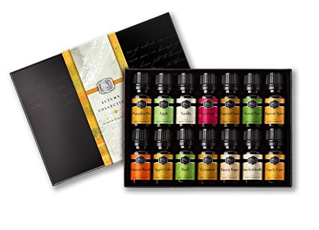 Autumn Set of 14 Premium Grade Fragrance Oils - 10ml