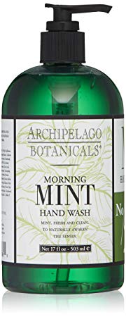 Archipelago Morning Mint Hand Wash, 17 Fl Oz