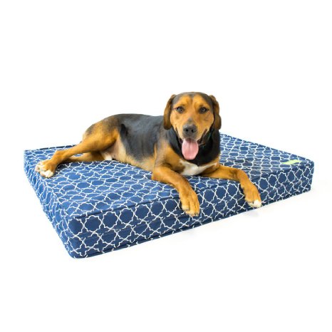 Orthopedic Dog Bed - 5" Thick | Gel Memory Foam - Made in the USA | 100% Cotton Removable Cover w/ Waterproof Encasement | Fully Washable | Small, Medium & Large Dogs