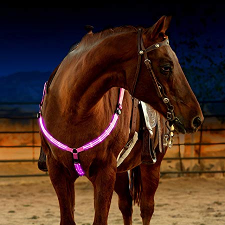LED Horse Breastplate Collar - USB Rechargeable - Best High Visibility Tack For Horseback Riding - Adjustable, Sturdy & Comfortable Hi-Viz Equestrian Safety Gear - Makes Your Horse Visible and Seen