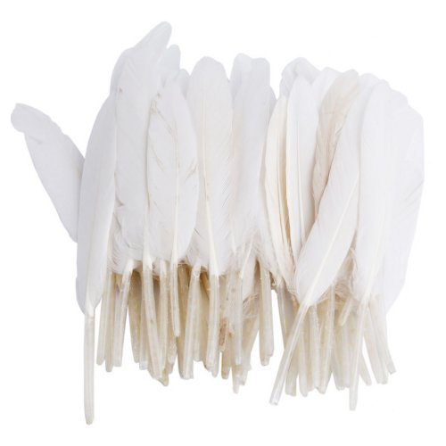 MicroMall Home Decor Decorating improvement Goose Feathers for Craft Wedding, White, 50 Pieces