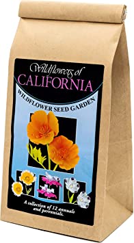 California Wildflower Seed Mix - A Beautiful Collection of Twelve annuals and perennials - Enjoy The Beauty of California Flowers in Your own Home Garden