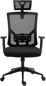 Ergonomic Office Chair, High Back Mesh Task Chair with Adjustable Headrest and Lumbar Support, Swivel Home Office Desk Chair, Height and Armrest Adjustable Computer Chair for Work, Black