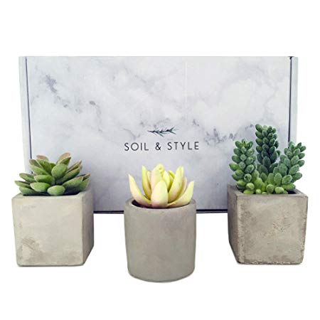 Soil & Style 3 Fake Succulent Plants in Pot - No Green Thumb Required - Faux Succulents Potted - Handcrafted Cement Pots - Miniature Fake Plants for Decoration - Realistic Fake Cactus