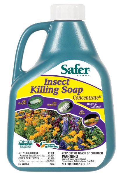 Safer Brand 5118 Insect Killing Soap - 16-Ounce Concentrate