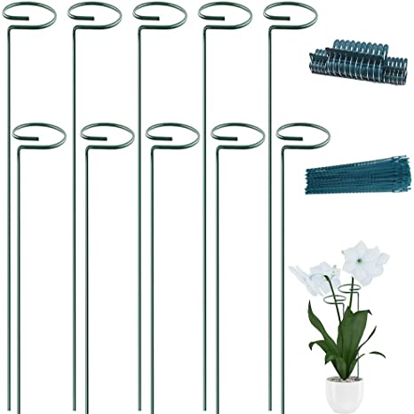 10 Pack Plant Support Stakes 24inch Garden Plant Stakes for Amaryllis Orchid Lily Rose Tomatoes with 20pack Plant Support Clips & 20pack Plant Twist Ties