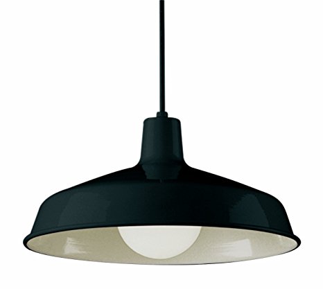 Trans Globe Lighting 1100 BK Indoor  Sherman 15.5" Pendant, Black