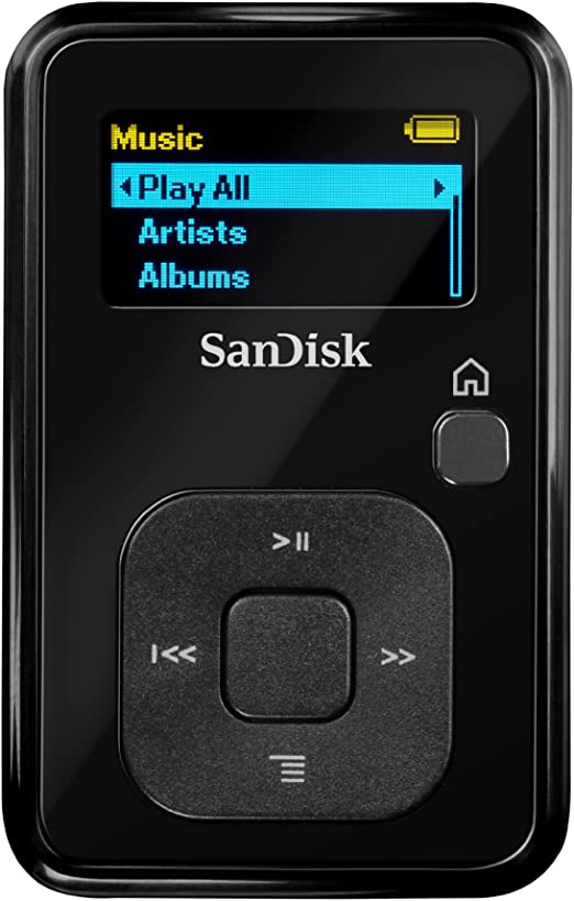 SanDisk Sansa Clip  4 GB MP3 Player (Black) (Discontinued by Manufacturer)