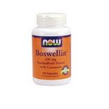NOW Foods Boswellia Extract 250 Mg 120 VCaps