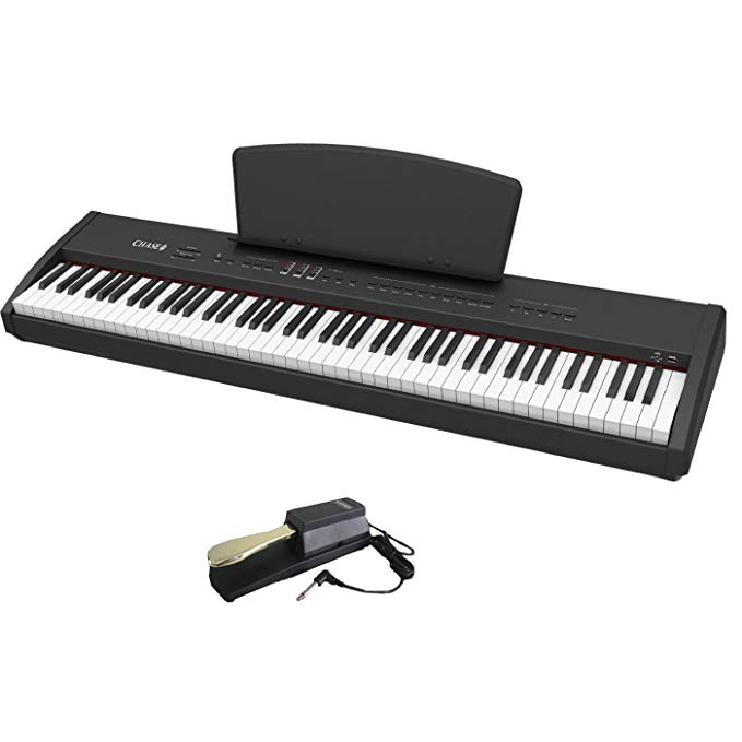 Chase P-55 Portable Digital Piano   Including Sustain Pedal
