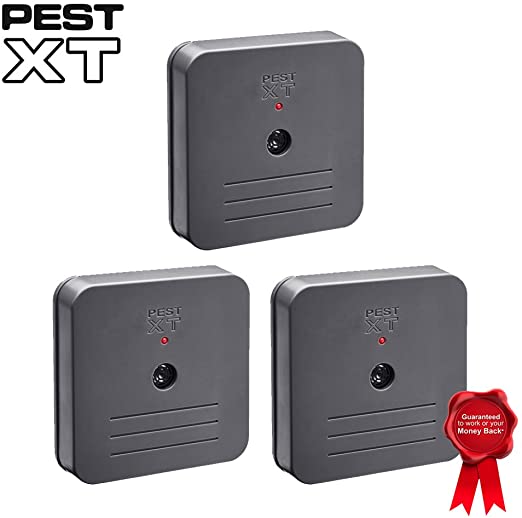 Battery Operated Ultrasonic Indoor Repeller, Targets Rats, Mice, Spiders & Small Pests Pest XT (Triple Pack)