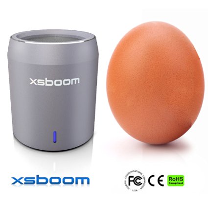XSBOOM Mini Bluetooth Speaker for Apple iPad iPhone iPod MP3 | Best Small Portable Wireless Speakers with Android Samsung Laptop The Perfect Travel Gift has Super Bass USB Wifi in Silver