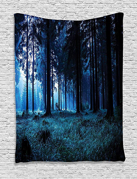 Ambesonne Room Decorations Collection, Night Scene of Autumn Forest in Thuringia Germany Foggy Pine Trees with Greenery Image, Bedroom Living Room Dorm Wall Hanging Tapestry, Navy Blue