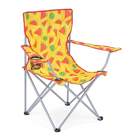 Folding Camping Festival Chair Flamingo Watermelon Funky Portable Seat With Bag