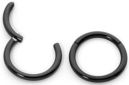 1 Pair Stainless Steel 25/64" (10mm) 16G Hinged Segment Ring Silver Black Rose Yellow Rainbow Blue Hoop Sleeper Earrings Body Piercing