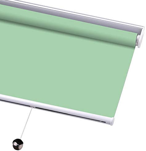 PASSENGER PIGEON Blackout Window Shades, Premium Free-Stop Cordless UV Protection Custom Roller Blinds,61" W x 60" L,Apple Green