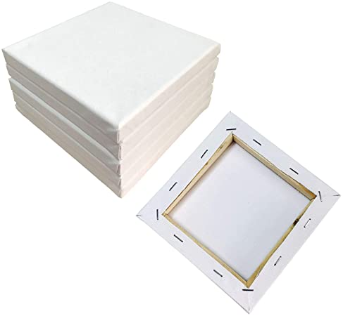 SL crafts Artist Mini Stretched Canvas 6"x6" Professional Quality Frame Canvas Pack of 6