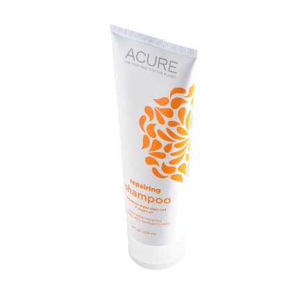 Acure Organics Natural Shampoo - Morrocan Argan Stem Cell  Argan Oil 8 oz