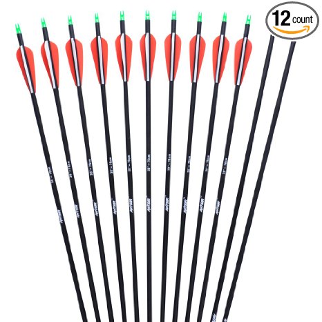 ANTSIR Outdoors Carbon 30-Inch 7.8mm Shaft Removable Arrows with Field Points Replaceable Tips for Recuve & Compound Bow( Pack of 12)